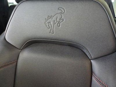 2026 Ford Bronco Stroppe Edition