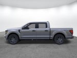 2026 Ford F-150 STX In-Transit