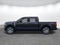 2026 Ford F-150 Platinum In-Transit