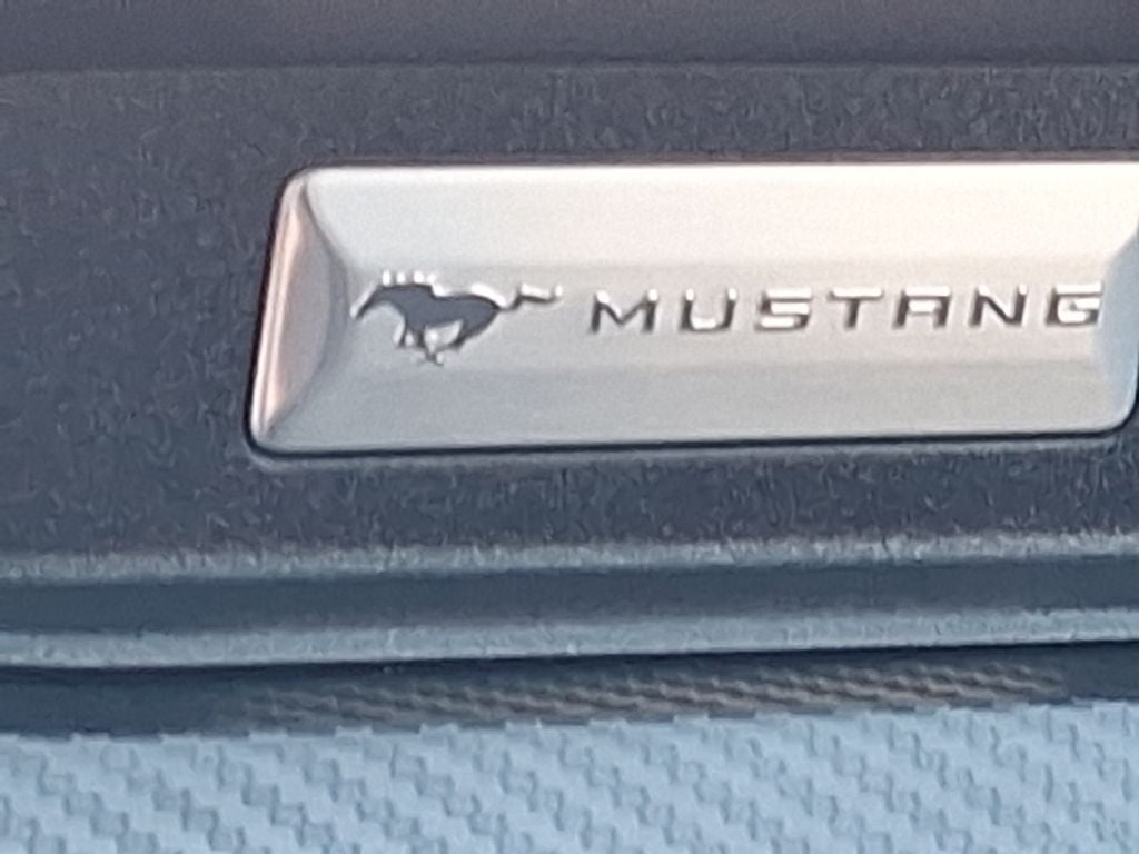 2019 Ford Mustang EcoBoost