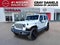 2022 Jeep Wrangler Unlimited Sahara Altitude