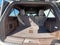 2023 Ford Expedition Max King Ranch